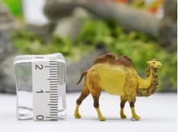 HO1:87 Animal Model Pigeon, Seagull, Wild Boar,Zebra, Seal,Tiger Lion Peacock Sea Lion Dolphin Wolf Pack Camel Animal Decor