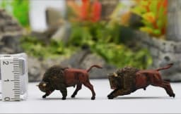 HO1:87 Animal Model Pigeon, Seagull, Wild Boar,Zebra, Seal,Tiger Lion Peacock Sea Lion Dolphin Wolf Pack Camel Animal Decor