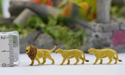 HO1:87 Animal Model Pigeon, Seagull, Wild Boar,Zebra, Seal,Tiger Lion Peacock Sea Lion Dolphin Wolf Pack Camel Animal Decor