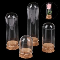 4/6/8/10CM Doll Glass Dome Display Wood Cork Bell Jar With Wooden Base Decoation Craft Table Decoation Craft