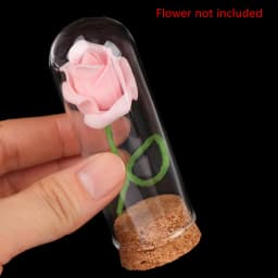 4/6/8/10CM Doll Glass Dome Display Wood Cork Bell Jar With Wooden Base Decoation Craft Table Decoation Craft
