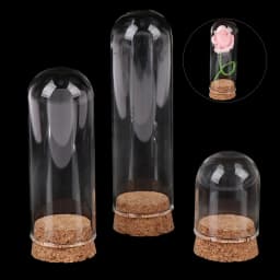 4/6/8/10CM Doll Glass Dome Display Wood Cork Bell Jar With Wooden Base Decoation Craft Table Decoation Craft
