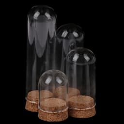 4/6/8/10CM Doll Glass Dome Display Wood Cork Bell Jar With Wooden Base Decoation Craft Table Decoation Craft