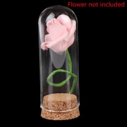 4/6/8/10CM Doll Glass Dome Display Wood Cork Bell Jar With Wooden Base Decoation Craft Table Decoation Craft