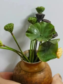 DollHouse Kitchen Scene Miniature Vegetable Fruit Clay Food Play Simulation Mini Potato Accessories Food Supermarket Decorations