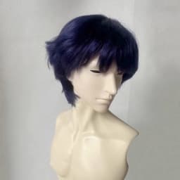 (Sweet Janie Store)BJD Wigs Short Hair for 1/3 1/4 1/6 Dolls SD MSD MDD Yosd Mohair Wigs Doll Black Blue Purple Gold Hair