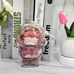 Transparent Case Protective For Skullpanda Winter Symphony & Light Weaving Garden Series Plush Dolls Gift Blind Box Collectors