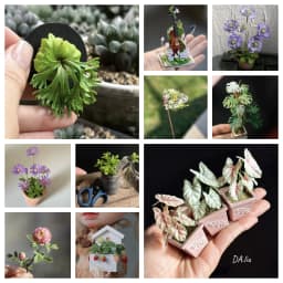 1:6 Miniature Plant Set, Handmade Realistic Fern Maple Caladium Potted,Exclusive Custom Sizes BJD Dollhouse Garden Bjd Decor Art