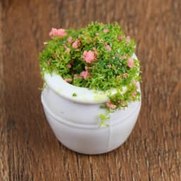 1/2Pcs Dollhouse Furniture 1:12 Accessories Mini Green Plant Bonsai Flower Pots