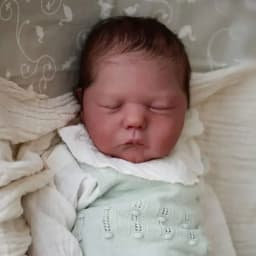 19inch Willa Reborn Kit Sleeping Baby Doll Blank Parts Fresh Color Soft Touch Unfinished Unpainted DIY Kit