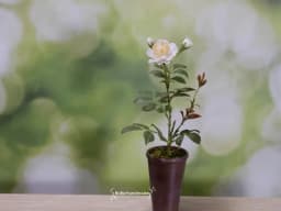 Handmade Clay Vine Plants Collection: Wisteria, Ivy & Rose Vine Miniatures with Lotus & Chrysanthemum for 1:6 Dollhouse Garden