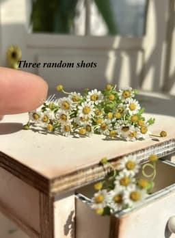 Handmade Clay Vine Plants Collection: Wisteria, Ivy & Rose Vine Miniatures with Lotus & Chrysanthemum for 1:6 Dollhouse Garden
