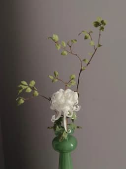 Handmade Clay Vine Plants Collection: Wisteria, Ivy & Rose Vine Miniatures with Lotus & Chrysanthemum for 1:6 Dollhouse Garden