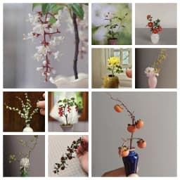 Handmade Clay Vine Plants Collection: Wisteria, Ivy & Rose Vine Miniatures with Lotus & Chrysanthemum for 1:6 Dollhouse Garden