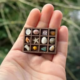 Wooden Mini Jewelry Holder Miniature Crystal Ore Specimen Storage Jewelry Display Tray Multi Compartments Dollhouse Shelf