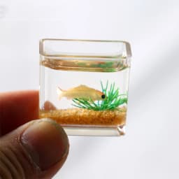 1pc Dollhouse Miniature Glass Fish Tank Bowl Aquarium Doll House Home Ornament Toys For Dollhouse Decor Toys