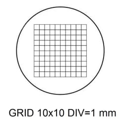 Eyepiece Micrometer Diameter 19mm Optical Glass Cross Ruler Net for Biogolical Microscope 23.2mm Ocular DIV 1 0.1 0.05 0.2 mm