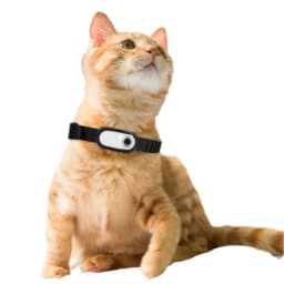 Portable Thumb Pet Camera HD 1080p Detachable Pet Recorder Anti-shake Cat Dog View Thumb Camera Collar High-definition Outdoor