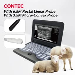 Contec Veterinary Ultrasound Scanner Laptop for Horse Equine Cow Sheep Dog Cat - Multiple Probe Types