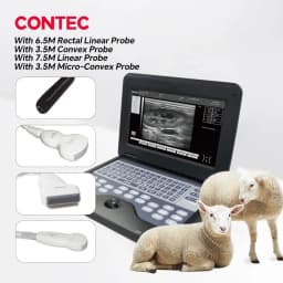 Contec Veterinary Ultrasound Scanner Laptop for Horse Equine Cow Sheep Dog Cat - Multiple Probe Types