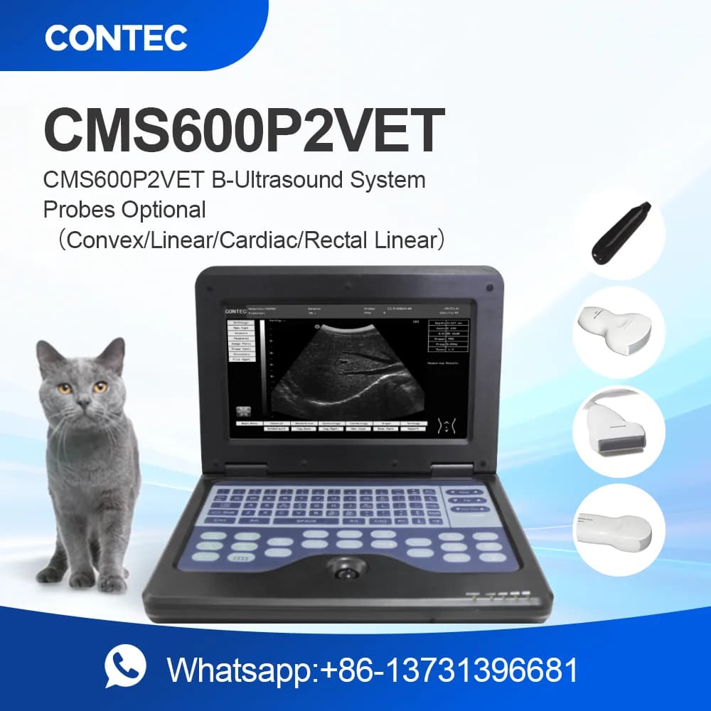 Contec Veterinary Ultrasound Scanner Laptop for Horse Equine Cow Sheep Dog Cat - Multiple Probe Types