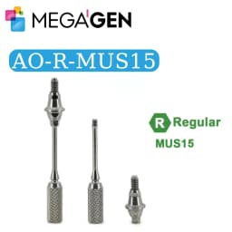 MegaGen AnyOne AO & AnyRidge AR Healing Abutment AO Straight Ti-Base Composite Abutment Dental Implant Prosthetic Components