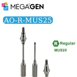 MegaGen AnyOne AO & AnyRidge AR Healing Abutment AO Straight Ti-Base Composite Abutment Dental Implant Prosthetic Components
