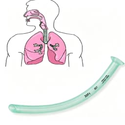 1pcs High-flow Nasal Cannula Oxygen Tube Nasopharyngeal Airway Respiratory Emergency Aid Airway Tube For Emergency First Aid