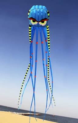 8m Octopus kites garden toys Power kite professional paragliding inflatable show kites brazilian flying kite koinobori soft kite