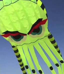 8m Octopus kites garden toys Power kite professional paragliding inflatable show kites brazilian flying kite koinobori soft kite