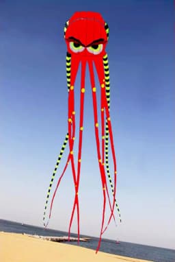 8m Octopus kites garden toys Power kite professional paragliding inflatable show kites brazilian flying kite koinobori soft kite