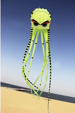 8m Octopus kites garden toys Power kite professional paragliding inflatable show kites brazilian flying kite koinobori soft kite
