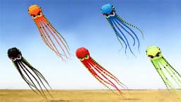 8m Octopus kites garden toys Power kite professional paragliding inflatable show kites brazilian flying kite koinobori soft kite