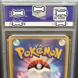 PTCG DIY 2024 POKEMON SV8 JP PIKACHU Ex UL TRA RARE Base Set GAME GREY HAT VAN GOGH Game Proxy Card Gift Toy Dropshipping