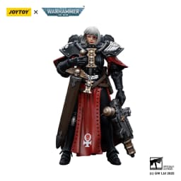 [IN STOCK]JOYTOY Warhammer 40K 1/18 Action Figure Adepta Sororitas Battle Sister 5PCS Anime Model