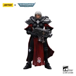 [IN STOCK]JOYTOY Warhammer 40K 1/18 Action Figure Adepta Sororitas Battle Sister 5PCS Anime Model