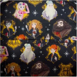 Loungefly 6 Styles Harry Potter Spring Flap Pocket Mini Backpack