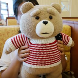 43cm 10 Movie Teddy Bear Ted 2 Plush Doll Toy Apron Soft Plush as a Christmas Birthday Gift for Good Friends