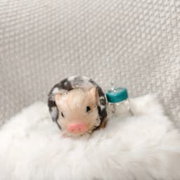 5 Inch Silicone Piglet Soft Cute Mini Realistic Animals with Accessories Lifelike Reborn Newborn Pig Doll Decompression Toy Gift
