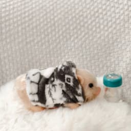 5 Inch Silicone Piglet Soft Cute Mini Realistic Animals with Accessories Lifelike Reborn Newborn Pig Doll Decompression Toy Gift