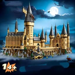 6020PCS Popular Iconic Magical Movie School Castle Building Blocks DIY Assembly Large Scene Display Model Desktop Decor Gifts