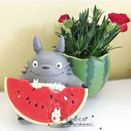 Mini Cute Totoro Watermelon Shaped Anime Figure Desktop Storage Collectible Doll Home Window Sill Decor Plant Pot Model Toy Gift