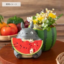 Mini Cute Totoro Watermelon Shaped Anime Figure Desktop Storage Collectible Doll Home Window Sill Decor Plant Pot Model Toy Gift