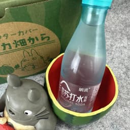 Mini Cute Totoro Watermelon Shaped Anime Figure Desktop Storage Collectible Doll Home Window Sill Decor Plant Pot Model Toy Gift