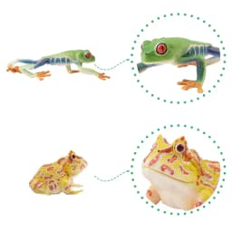 12Pcs Simulation Frog Reptile Animals Model Toy Mini Frogs Figures Dolls Action Figurines Toys Children Set Gift Cake Decoration