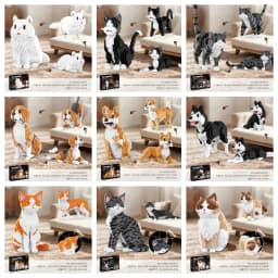Dog Cat Micro Building Blocks Balody Animal Pets Beagle Ragdoll Tabby Cat Model Assembly Puzzle Mini Brick Figure Toy for Gift