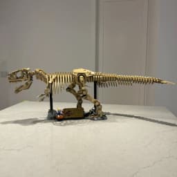2026 New MOC Tyrannosaurus Rex Fossil Skeleton Model Home Decor Children's Boys' Holiday Gift