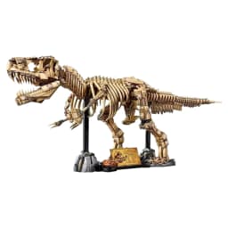 2026 New MOC Tyrannosaurus Rex Fossil Skeleton Model Home Decor Children's Boys' Holiday Gift