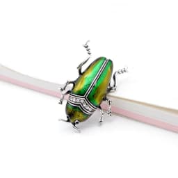 Fun Beetle Brooches Insect Pin Bug Brooch Women Men Jewelry Kids Accessoriesd Badges Fashion Gift
