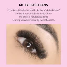 GLAMLASH 6D-W Shaped Eyelash Extension Premade Volume Fans Clover W Style Lashes False Mink Soft Easy Faning Natural Makeup Tool
